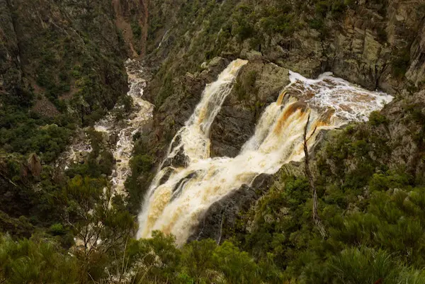 Wollomombi Falls (43)